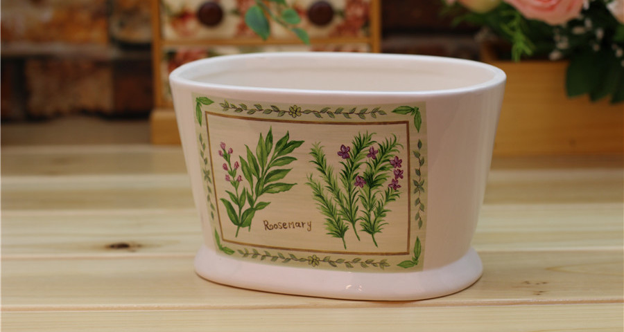 Shy Rosemary Small Ceramic Flower Pots
